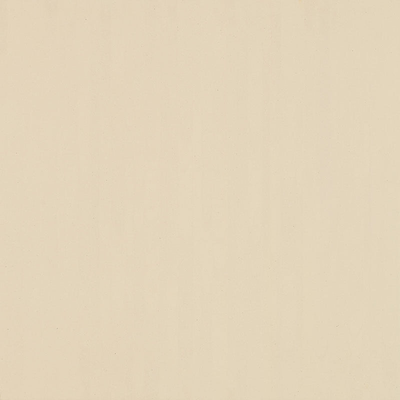 Daltile Formula 24" x 24"-Porcelain Tile-Daltile-Planes Taupe Unpolished-24" x 24"-State Tile