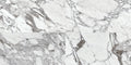 Daltile Marble Attache Lavish 24" x 48"-Porcelain Tile-Daltile-Pearl Arabesque Matte-24" x 48"-State Tile