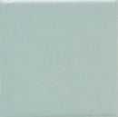 Daltile Keystones With Clearface 1 X 1 12" x 24"-Porcelain Mosaic-Daltile-Spa-12" x 24"-State Tile