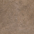 Daltile Dignitary 24" x 24"-Porcelain Tile-Daltile-Herald Brown-24" x 24"-State Tile