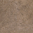 Daltile Dignitary 24" x 24"-Porcelain Tile-Daltile-Herald Brown-24" x 24"-State Tile