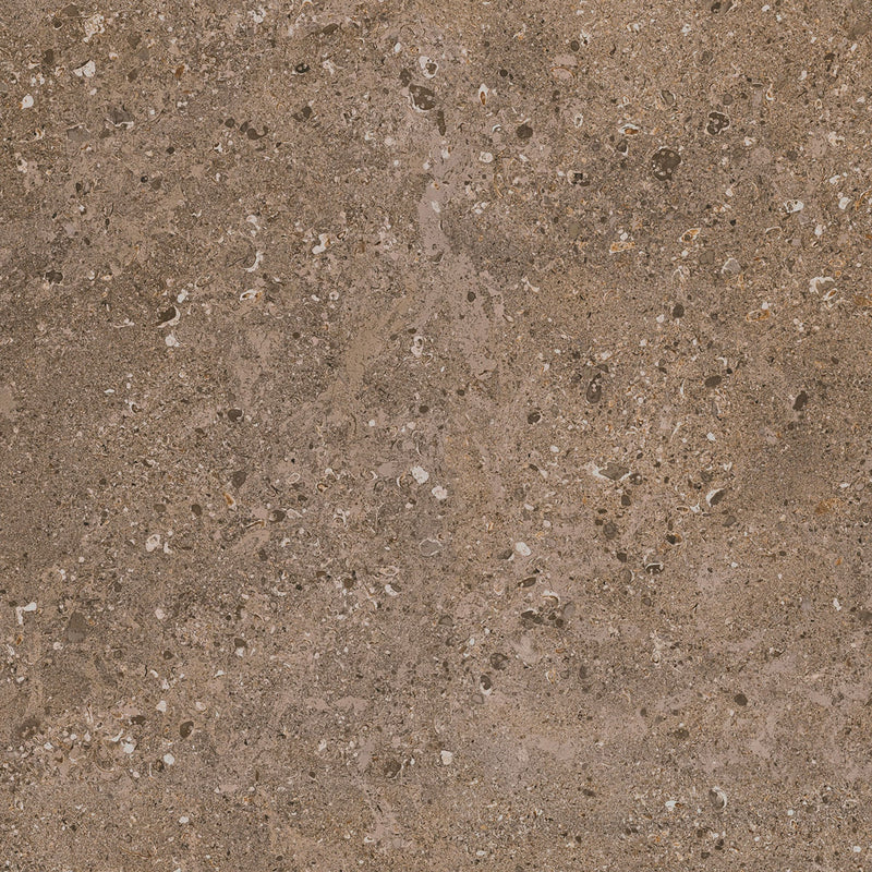 Daltile Dignitary 24" x 24"-Porcelain Tile-Daltile-Herald Brown-24" x 24"-State Tile