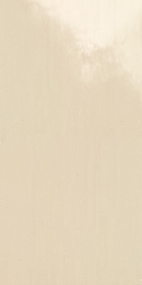 Daltile Formula 24" x 48"-Porcelain Tile-Daltile-Planes Taupe-24" x 48"-State Tile