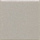 Daltile Keystones Unglazed Mosaics 1 X 1 12" x 24"-Porcelain Mosaic-Daltile-Desert Gray-12" x 24"-State Tile