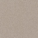 Daltile Harmonist 12" x 12"-Porcelain Tile-Daltile-Bliss-12" x 12"-State Tile