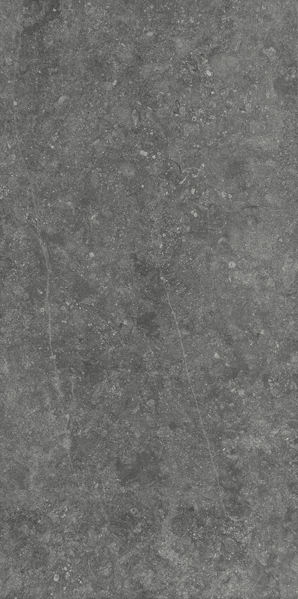 Daltile Diplomacy 24" x 48"-Porcelain Tile-Daltile-Medium Grey-24" x 48"-State Tile