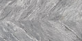 Daltile Marble Attache Lavish 12" x 24"-Porcelain Tile-Daltile-Stellar Grey Matte-12" x 24"-State Tile