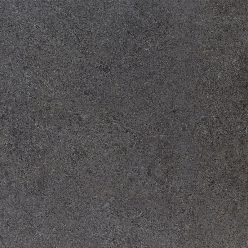 Daltile Dignitary 24" x 24"-Porcelain Tile-Daltile-Governor Black-24" x 24"-State Tile