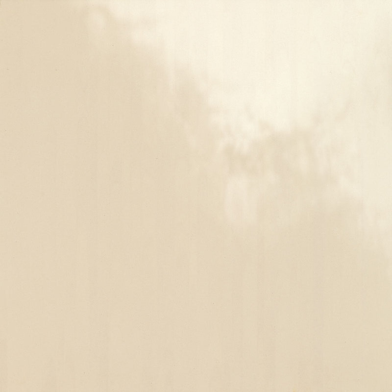 Daltile Formula 24" x 24"-Porcelain Tile-Daltile-Planes Taupe-24" x 24"-State Tile