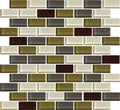 Daltile Color Wave 2 x 1 12" x 13"-Glass Mosaic-Daltile-Autumn Trail-12" x 13"-State Tile
