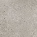 Daltile Dignitary 24" x 24"-Porcelain Tile-Daltile-Superior Taupe-24" x 24"-State Tile