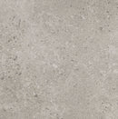 Daltile Dignitary 24" x 24"-Porcelain Tile-Daltile-Superior Taupe-24" x 24"-State Tile
