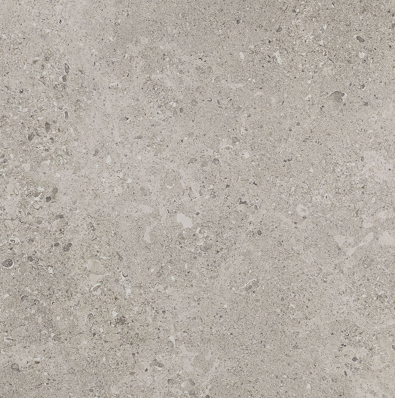 Daltile Dignitary 24" x 24"-Porcelain Tile-Daltile-Superior Taupe-24" x 24"-State Tile