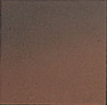 American Olean Quarry Naturals 8" x 8"-Quarry Tile-American Olean-Fire Flash Abrasive-8" x 8"-State Tile