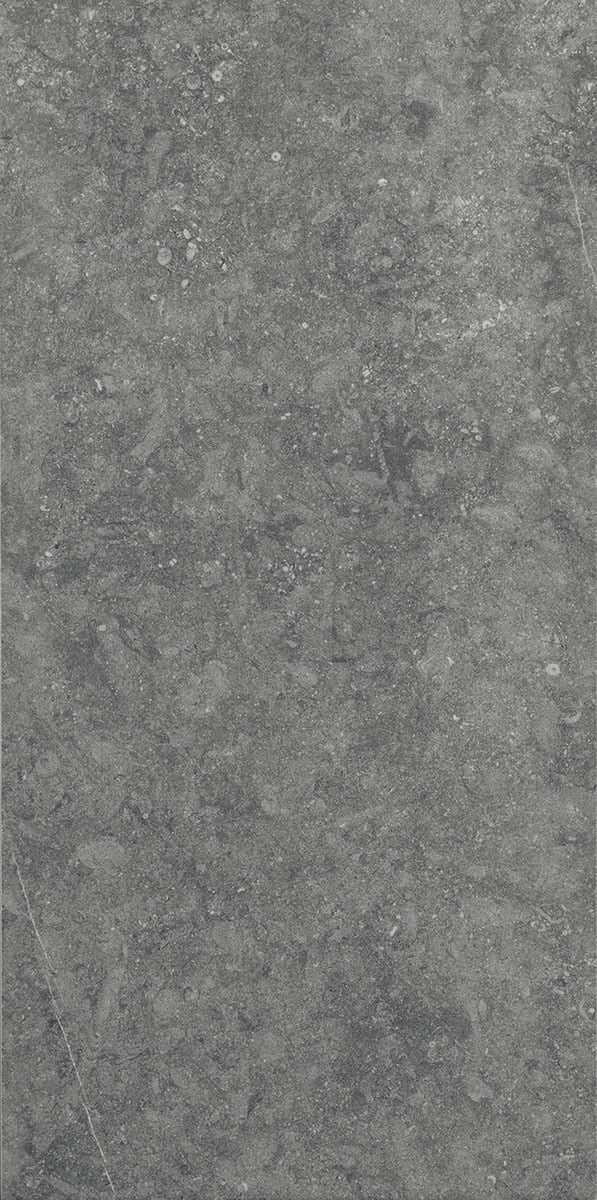 Daltile Diplomacy 12" x 24"-Porcelain Tile-Daltile-Light Grey-12" x 24"-State Tile