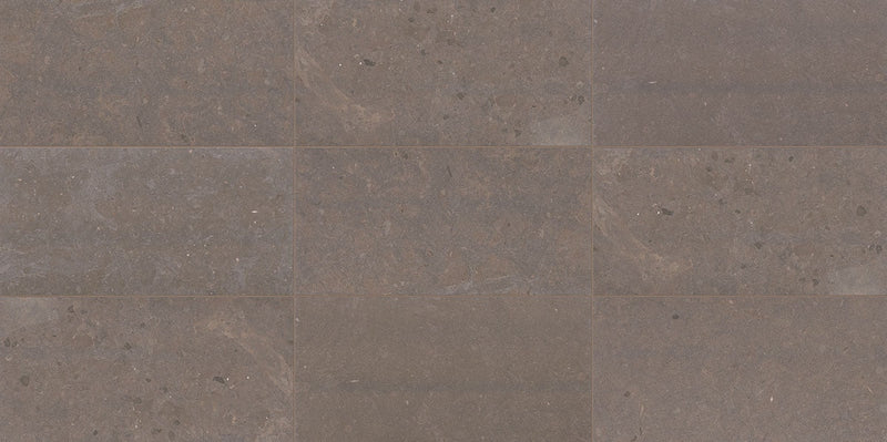 Daltile Parksville Stone 12" x 24"-Natural Stone Tile-Daltile-Matterhorn Tile-12" x 24"-State Tile
