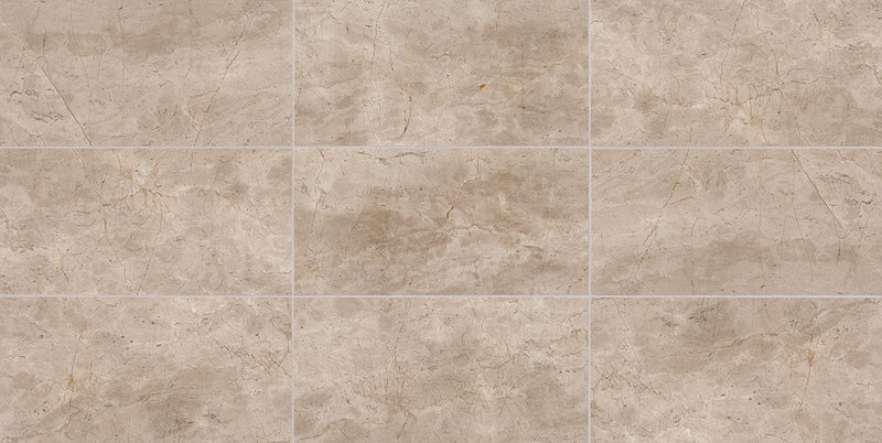 American Olean Candora 12" x 24"-Natural Stone Tile-American Olean-Earnest Beige Honed-12" x 24"-State Tile