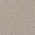 Daltile Harmonist 12" x 24"-Porcelain Tile-Daltile-Bliss-12" x 24"-State Tile