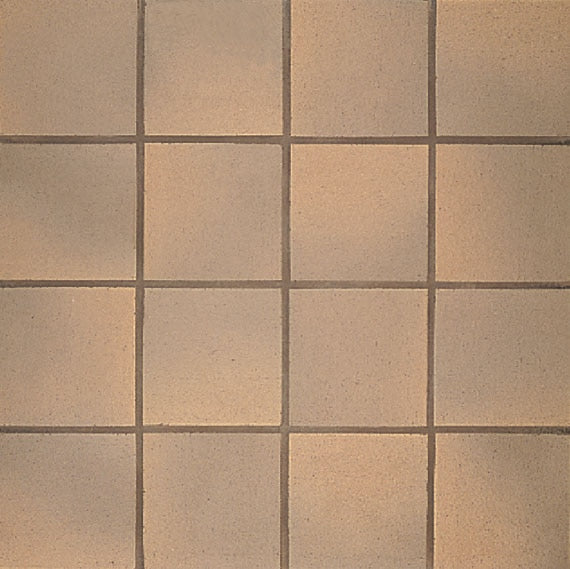 American Olean Quarry Naturals 6" x 6"-Quarry Tile-American Olean-Prairie Flash Abrasive-6" x 6"-State Tile