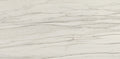 American Olean Ideology 12" x 24"-Porcelain Tile-American Olean-Calacatta Grey Polished-12" x 24"-State Tile