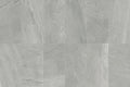 Daltile Society 12" x 24"-Porcelain Tile-Daltile-Park Lane Gray Polished-12" x 24"-State Tile