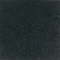Daltile Granite 12" x 12"-Granite Tile-Daltile-Galaxy Black-12" x 12"-State Tile