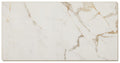Daltile Revo Tile 12" x 24"-Porcelain Tile-Daltile-Calacatta Marble Matte-12" x 24"-State Tile