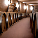 Daltile Harmonist 12" x 12"-Porcelain Tile-Daltile-State Tile