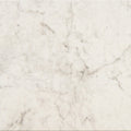 American Olean Mythique Marble 12" x 12"-Porcelain Tile-American Olean-Altissimo Matte-12" x 12"-State Tile