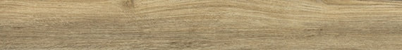 Daltile Adventuro 6" x 48"-Vinyl Tile-Daltile-Explorer-6" x 48"-State Tile