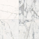 Daltile Marble 18" x 18"-Marble Tile-Daltile-Statuario Honed-18" x 18"-State Tile