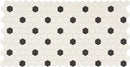 Daltile Keystones 1" Hexagon Dot 12" x 22.63"-Porcelain Mosaic-Daltile-Arctic White | Black-12" x 22.63"-State Tile