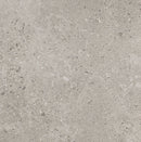 Daltile Dignitary Paver 24" x 24"-Porcelain Paver-Daltile-Superior Taupe Textured-24" x 24"-State Tile