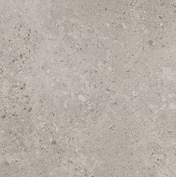 Daltile Dignitary Paver 24" x 24"-Porcelain Paver-Daltile-Superior Taupe Textured-24" x 24"-State Tile
