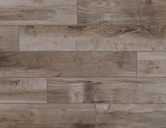 American Olean Bryson Valley 8" x 48"-Porcelain Plank-American Olean-Petrified Forest-8" x 48"-State Tile