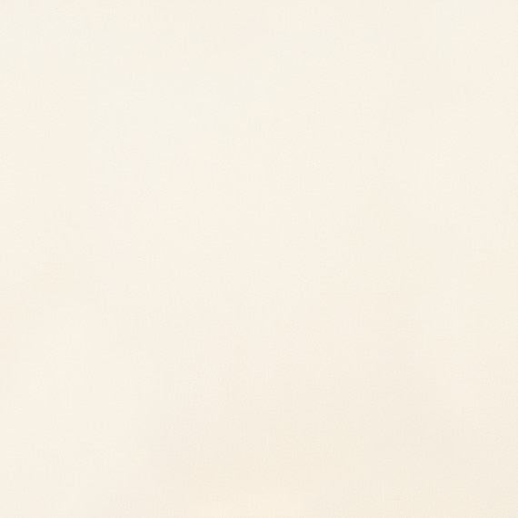 American Olean Clay Canvas 24" x 24"-Porcelain Tile-American Olean-Chalk Matte-24" x 24"-State Tile