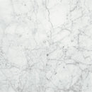Daltile Marble 12" x 12"-Marble Tile-Daltile-Carrara Gioia Polished-12" x 12"-State Tile