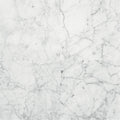 American Olean Marble 12" x 12"-Natural Stone Tile-American Olean-Carrara Gioia-12" x 12"-State Tile