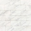 Daltile Marble 3" x 6"-Marble Tile-Daltile-Contempo White Honed-3" x 6"-State Tile