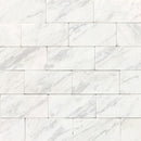 Daltile Marble 3" x 6"-Marble Tile-Daltile-Contempo White Honed-3" x 6"-State Tile