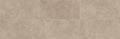 Daltile Rhetoric 8" x 24"-Porcelain Tile-Daltile-Philosopher Beige-8" x 24"-State Tile