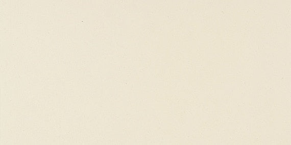 Daltile Exhibition 12" x 24"-Porcelain Tile-Daltile-Stark White-12" x 24"-State Tile