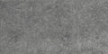 Daltile Diplomacy 20" x 40"-Porcelain Paver-Daltile-Light Grey-20" x 40"-State Tile
