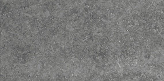 Daltile Diplomacy 20" x 40"-Porcelain Paver-Daltile-Light Grey-20" x 40"-State Tile