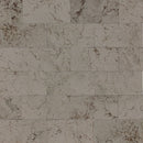 Daltile Marble 8" x 36"-Marble Plank-Daltile-Silver Screen Honed-8" x 36"-State Tile