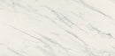 American Olean Ideology 12" x 24"-Porcelain Tile-American Olean-Carrara White Matte-12" x 24"-State Tile