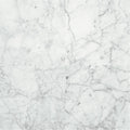 Daltile Marble 12" x 24"-Marble Tile-Daltile-Carrara Gioia Honed-12" x 24"-State Tile