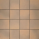 American Olean Quarry Naturals 8" x 8"-Quarry Tile-American Olean-Prairie Flash Abrasive-8" x 8"-State Tile