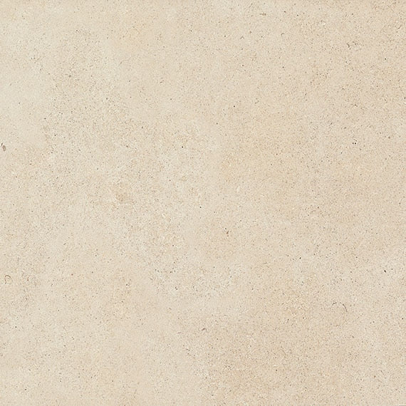 Daltile Haut Monde 24" x 24"-Porcelain Tile-Daltile-Nobility White-24" x 24"-State Tile