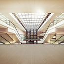 Daltile My City Shanghai 12" x 24"-Porcelain Tile-Daltile-State Tile